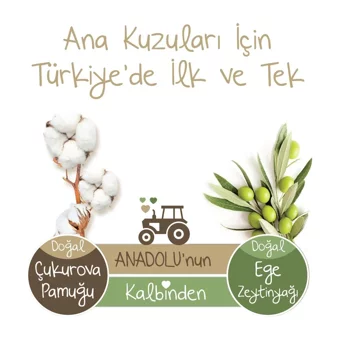 Baby Turco Doğadan Midi 3 Numara Külot Bebek Bezi 306 Adet