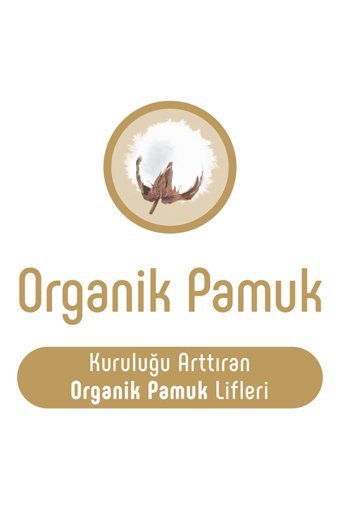 Sleepy Natural Midi Plus 3 + Numara Organik Cırtlı Bebek Bezi 256 Adet