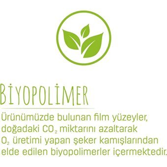 Sleepy Bio Naturel 4 Numara Organik Cırtlı Bebek Bezi 192 Adet
