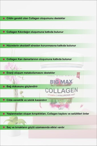 Big Max Multi Collagen Powder Toz Kolajen 300 gr
