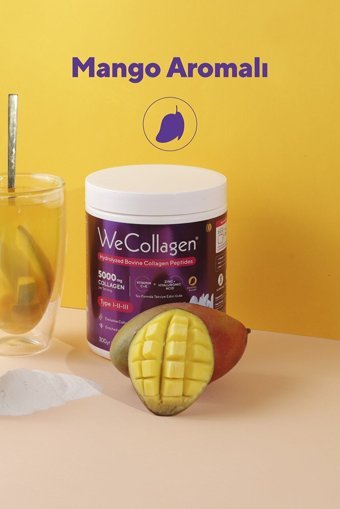 Biomet Type I-II-III Collagen Toz Kolajen 300 gr