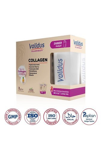 Validus Saşe Kolajen