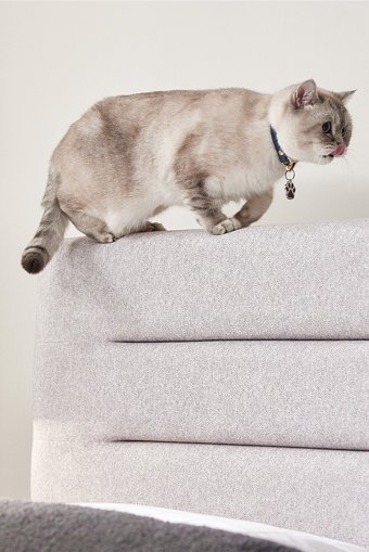 Yataş Supreme Pedic 160 x 200 cm Başlıklı Çift Kişilik Sandıklı Baza Seti Bej