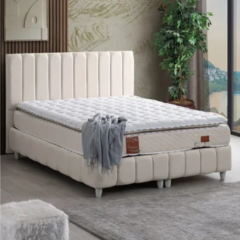 Cesur Narva 100x200 cm Başlıklı Yataklı Sandıklı Tek Kişilik Baza Seti Krem