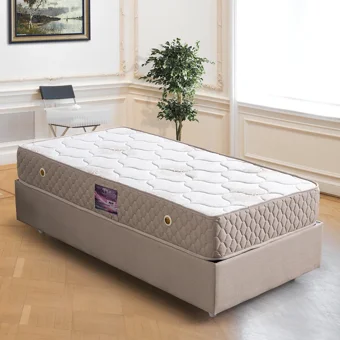 Setay Leon 90x200 cm Başlıklı Yataklı Sandıklı Tek Kişilik Baza Seti Krem