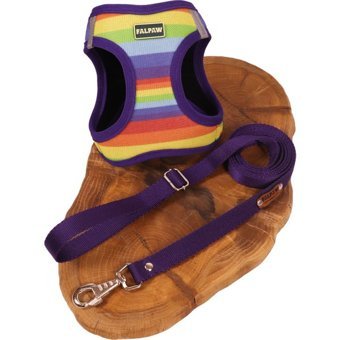 Falpaw Köpek Göğüs Tasma Seti Ayarlanabilir Gezdirme Kayışı Eller Serbest Gökkuşağı Desenli - XL - Mor