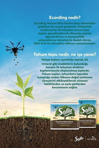 Sofia 3 Katlı 12'li Rulo Kağıt Havlu