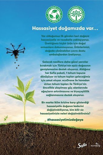 Sofia 3 Katlı 12'li Rulo Kağıt Havlu