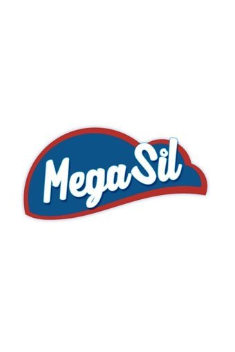 Mega Sil Dispenser 2 Katlı 100 Yaprak 12'li Z Katlama Kağıt Havlu