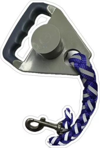 Dr Sacchi Köpek Gezdirme Kayışı Small 15x60 Cm