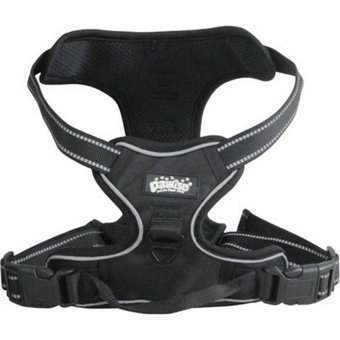 Pawise Easy Walking Köpek Tasması L Sptgl - Sarı