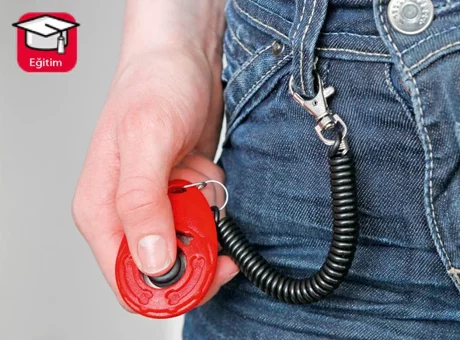 Karlıe Hızlı Clıcker 6X4cm