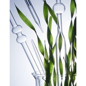 Olentis Granül Leke Giderici Sıkılaştırıcı Krem Stick Yüz Peelingi 150 ml