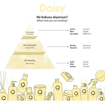 Qolory Daisy Siyah Nokta Karşıtı Krem Kavanoz Yüz Peelingi 150 ml