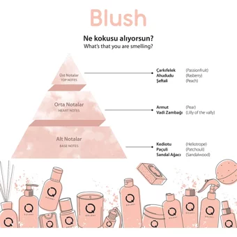 Qolory Blush Siyah Nokta Karşıtı Krem Kavanoz Yüz Peelingi 150 ml
