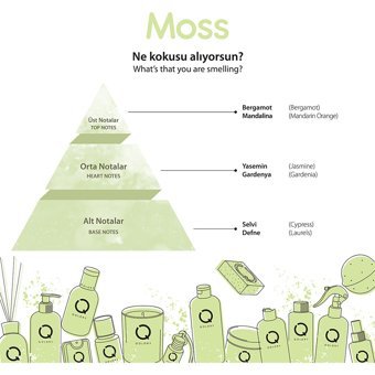 Qolory Moss Siyah Nokta Karşıtı Krem Kavanoz Yüz Peelingi 150 ml