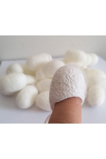 Şifagıda Sıkılaştırıcı Koza Yüz Peelingi 50 Adet