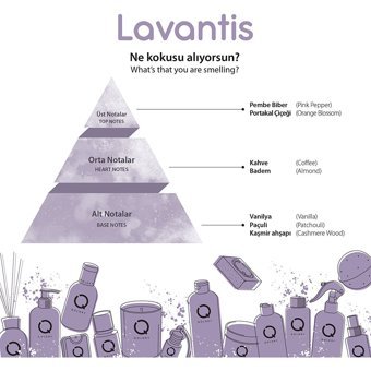 Qolory Lavantis Siyah Nokta Karşıtı Krem Kavanoz Yüz Peelingi 150 ml