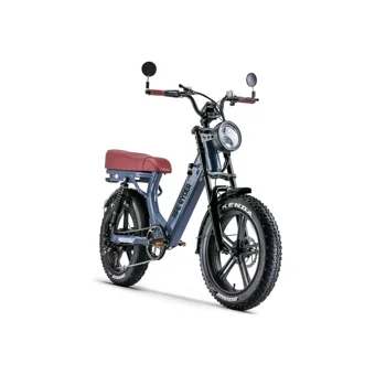 Ryder Ape Ryder MD10 250 W 80 Km Menzil 7 Vites Elektrikli Şehir / Tur Bisiklet Yeşil