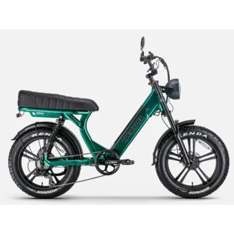 Ryder Ape Ryder MD10 250 W 80 Km Menzil 7 Vites Elektrikli Şehir / Tur Bisiklet Yeşil