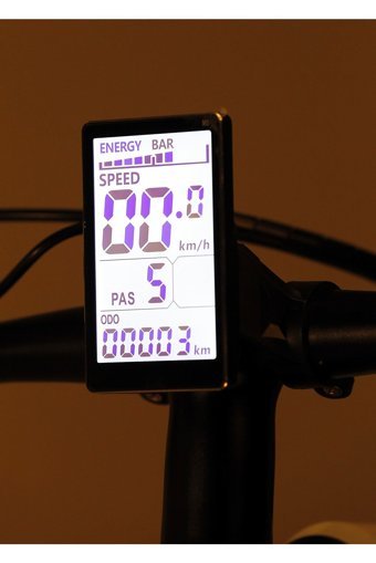 Arc Motors ARC 303 250 W 50 Km Menzil 8 Vites Elektrikli Dağ Bisiklet Beyaz