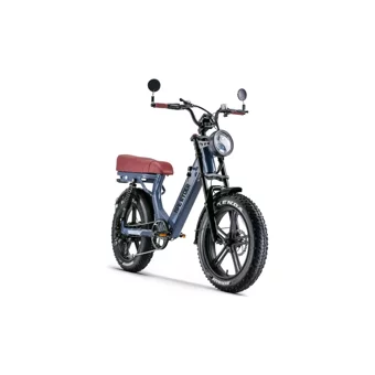 Ryder Ape Ryder MD10 250 W 80 Km Menzil 7 Vites Elektrikli Şehir / Tur Bisiklet Lacivert