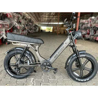Ryder Ape Ryder MD10 250 W 80 Km Menzil 7 Vites Elektrikli Şehir / Tur Bisiklet Gri