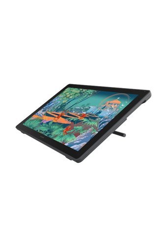 Huion HUGS2401 23.8 inç Ekranlı Kalemli LCD Kablolu Grafik Tablet Siyah