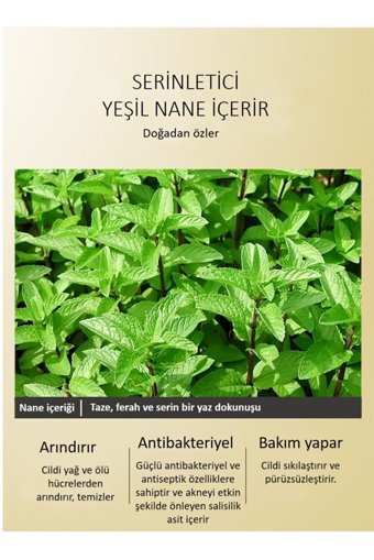 Jomtam Arındırıcı Aloe Veralı Nemlendiricili Krem Yüz Maskesi 100 gr