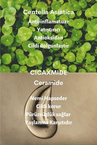 Dermal Ugarden Cicaplus Centella Asiatica Ve Seramid Özlü Nemlendiricili Kağıt Yüz Maskesi