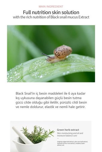 Bergamo Black Snail Özü Nemlendiricili Kağıt Yüz Maskesi