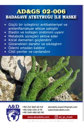 Alexdello Badagave Atkuyruğu Toz Yüz Maskesi