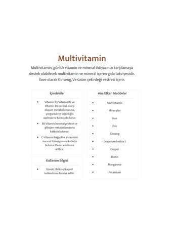 Wiselab Multivitamin Yetişkin 30 Adet