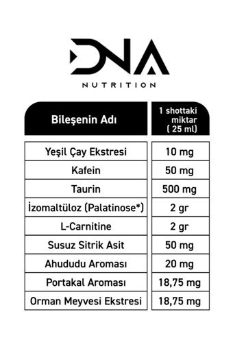 Dna Nutrition Portakal Aromalı L-Karnitin 20 Shot