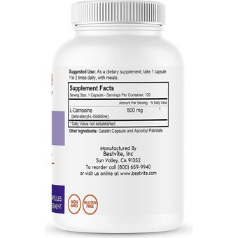 Dietary Supplement L-Karnitin 120 Kapsül