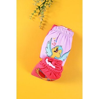 Babydonat 12 kg 3'lü Sızdırmayan Yıkanabilir Tavşan-Kuş-Papağan Desenli Alıştırma Külodu