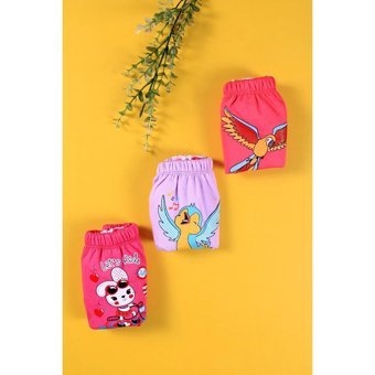 Babydonat 12 kg 3'lü Sızdırmayan Yıkanabilir Tavşan-Kuş-Papağan Desenli Alıştırma Külodu