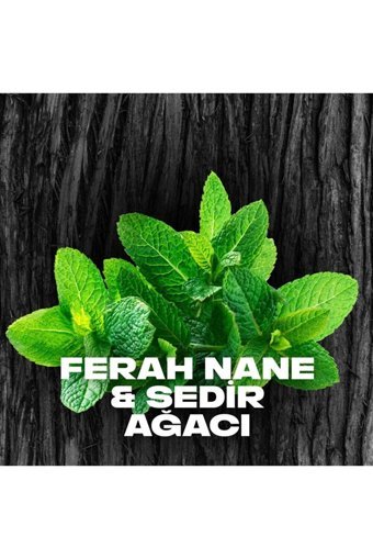 Axe Black Night Pudrasız Ter Önleyici Sprey Erkek 150 ml