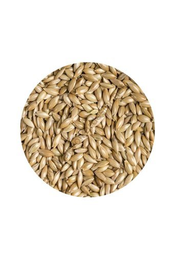 Vivid Bird Aspur Kabuklu Sade Vitaminli Kanarya Yemi 20 kg