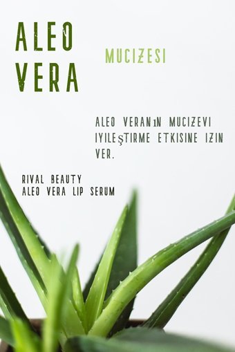 Rival Ultra-Moisturising Nemlendiricili Işıltılı Dudak Parlatıcısı Yeşil