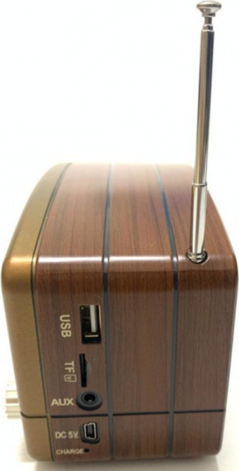 Everton RT-307 Taşınabilir Radyolu Retro 5 W 80 dB Bluetooth Hopörler Kahverengi