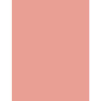Flormar Blush On 102 Rose Pink Işıltılı Toz Allık