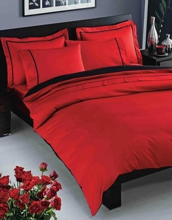 Nevresim Dünyası Saten Dört Mevsim 200 x 220 cm Desenli Çift Kişilik Nevresim Takımı Kırmızı