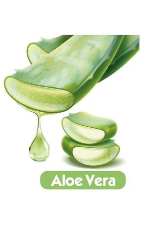 Baby Turco Softcare Aloe Vera 90 Yaprak 24'lü Paket Islak Bebek Havlusu