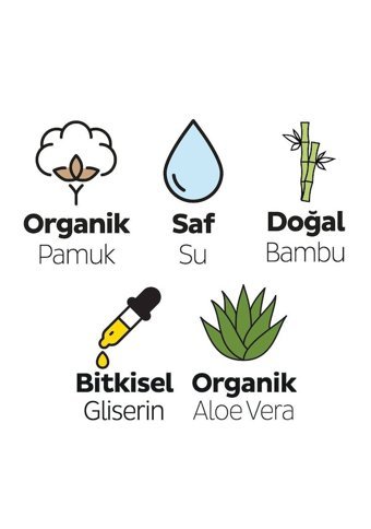 Sleepy Yenidoğan Devam 50 Yaprak 12'li Paket Islak Mendil