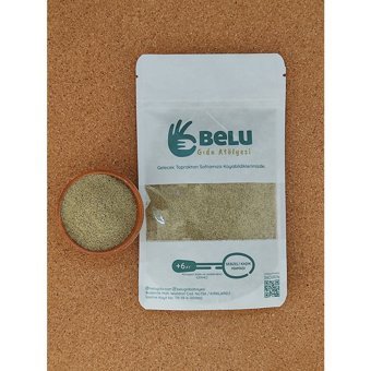 Belu Gıda Atölyesi Tahıllı Ispanaklı Kaşık Maması 100 gr