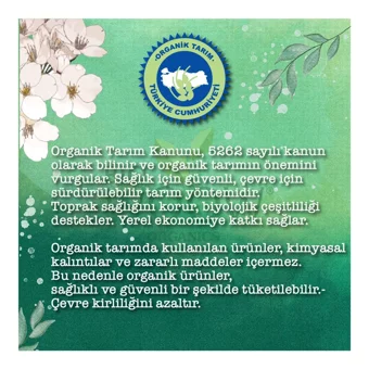 Bio Woow Organics Tahıllı Organik Armutlu Hurmalı Kaşık Maması 105 gr