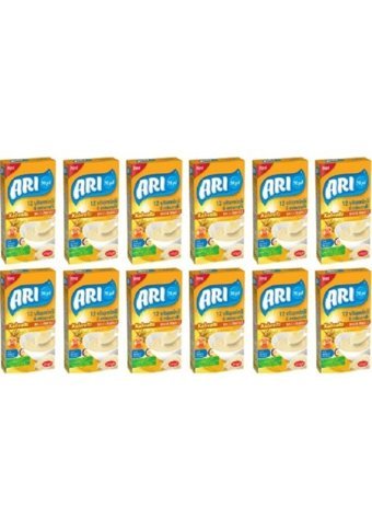 Arı Tahıllı İrmikli Probiyotikli Kaşık Maması 12x250 gr