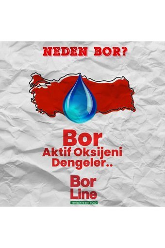 Borline Active Plus Renkliler ve Beyazlar İçin 60 Yıkama Toz Deterjan 2x4 kg