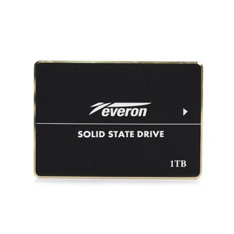 Everon 1 TB 2.5 inç SSD